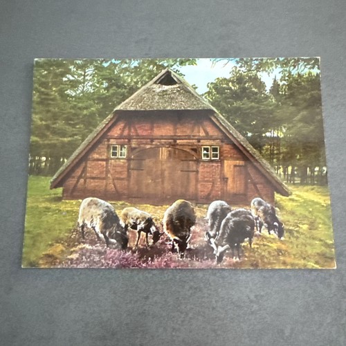 Postkarte schafstall der - postkarte,