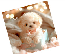 Nicoo Roboterhund: Echt