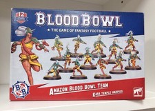 Blood Bowl Amazon Team : Kara