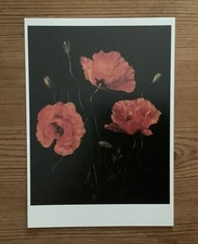 1 Postkarte, Mohnblume
