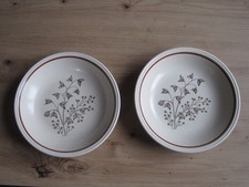 2 Suppenteller tiefe Teller  Biltons England Glockenblume beige braun Keramik 