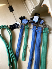 Hund Halsband Leine (Das
