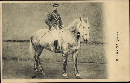 Rennpferd mit jockey - rennpferd,