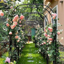 XL Rosenbogen Breit Robuste Metall Garten Bogen Kletterpflanzen Pergola Outdoor 