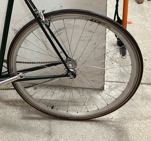 Campagnolo record fixed - fixed, gear