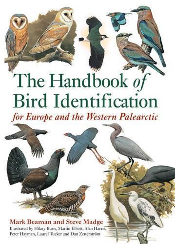 The handbook bird - of,