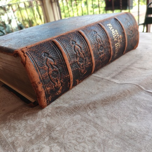 Englische bibel 800 - englische, .