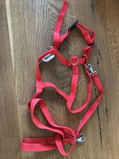 Betzold Pferdeleine Spielen Kinder Pferdegeschirr Jungen Mädchen