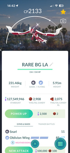Pokemon shiny yveltal - shiny, los