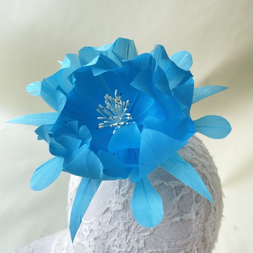 Elegant gans feder - elegant,