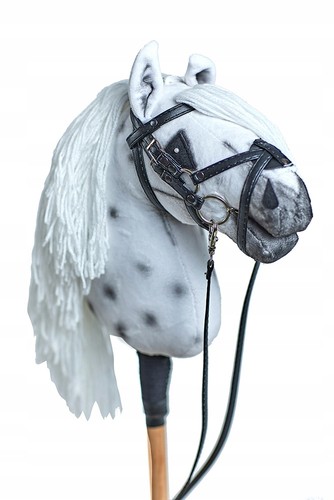 Hobby horse tarant - a3,