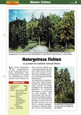 Naturgetreue Fichten gestalten / Bauanleitung
