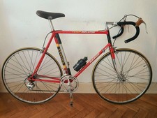 Rennrad Raleigh Rapide Team RH