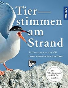 Tierstimmen strand - tierstimmen,