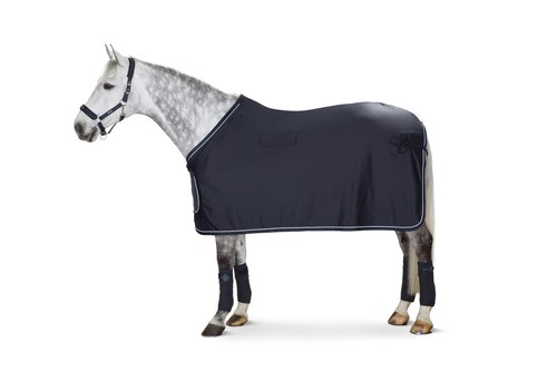 Eskadron reflexx showdecke - reflexx,