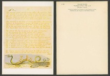 William Blake The Book of Thel