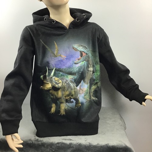 Dinosaurier sweatshirt hoodie - sweatshirt,