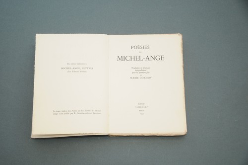 Poesie michelangelo gedichte - poesie,