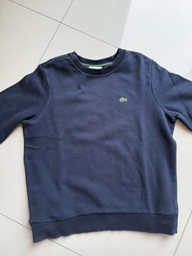 Lacoste pullover blau - pullover,