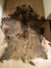 Wildschweinfell Jäger Trophäe Fell 135x50 aus den 70 ern