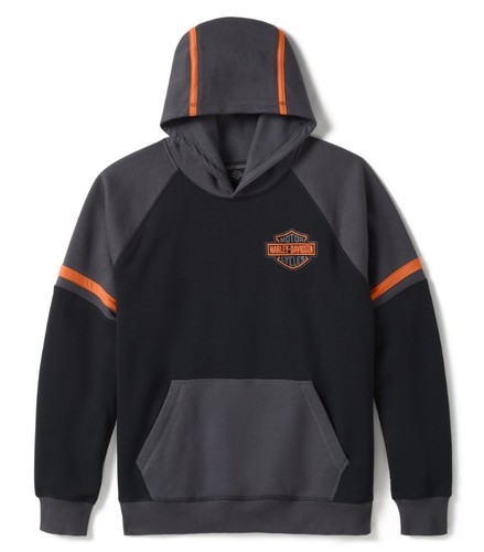 Harley davidson iron pride - harley-davidson,