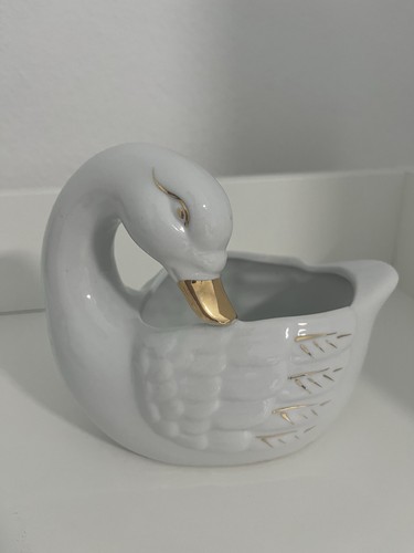 Schwan mit goldschnabel - mit,