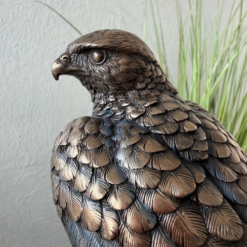 Falke vogel statue - falke,