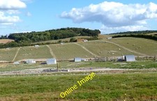 Foto 12x8 Schwein Land Wald c2012