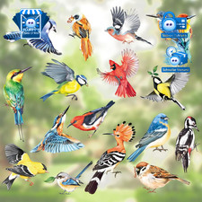 Fensterbilder 17 Stück Vögel