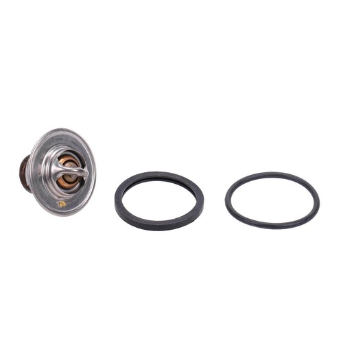 Thermostat winter grad fiat - 91,