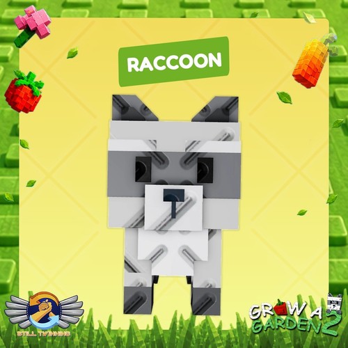 Raccoon grow garden 2 - raccoon,