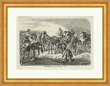 Pferde Requisitionen in Jütland Dänemark Sattel Steigbügel Holzstich E 19685