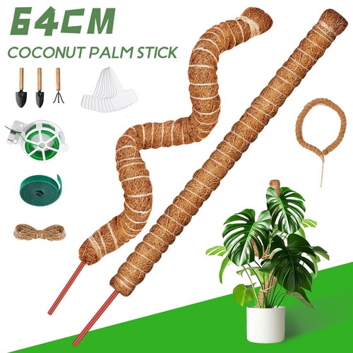 Pflanzstab kokos monstera - 2x,