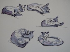 Feder & Tuschezeichnung