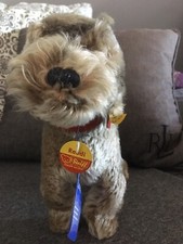 Steiff Dackel Raudi mit KFS &