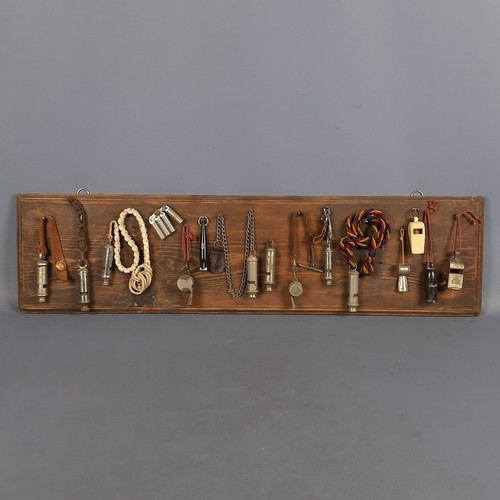 Sammler display mit antiken - mit, 15