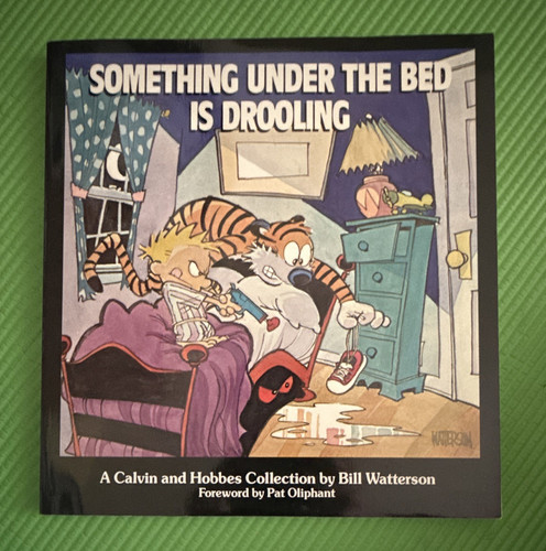 Calvin and hobbes something - calvin,