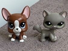 Littlest Pet Shop Maine Coon Katze Cat 1059 Roxie Mcterrier Boston Hund Dog