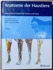 König: Anatomie der