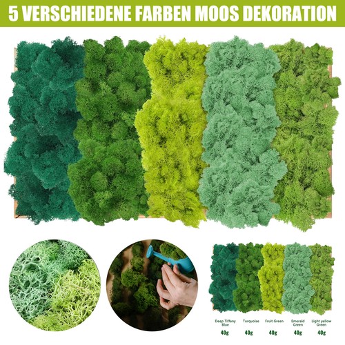 Islandmoos farben echtes - islandmoos, 5