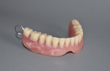 Lehrmodell Zahnprothese