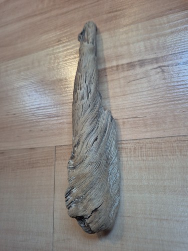 Schwemmholz treibholz korios - schwemmholz,