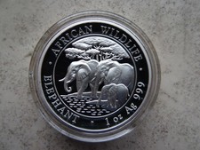 Somalia 2013 African Wildlife