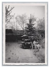 Bamberg 1956 - Hafenstraße 6