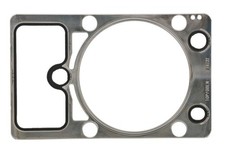 Für REINZ 61-36485-10