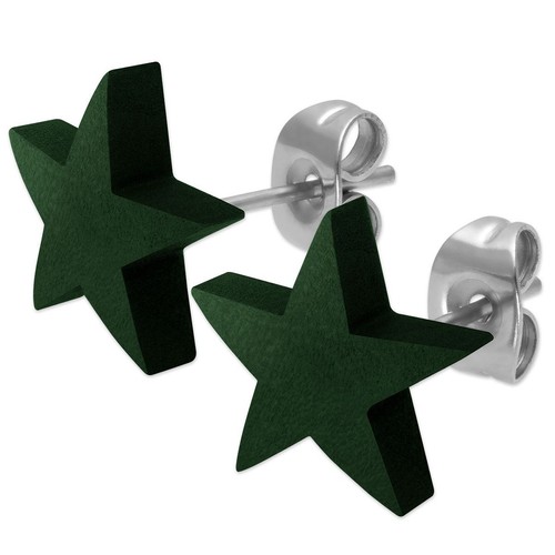 Paar stern ohrstecker - paar,