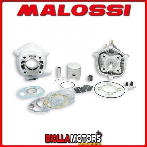 318460 zylinder malossi - 318460,