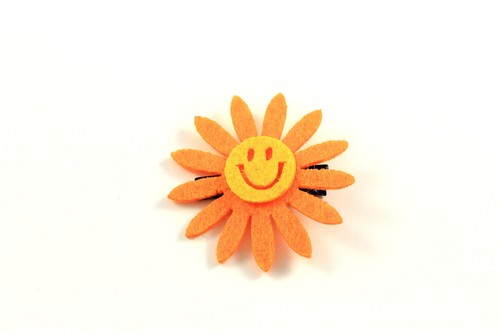 Haarspange haarklammer blume - haarspange,