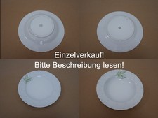 Seltmann Weiden Regina Dekor