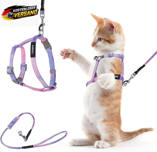 Katzengeschirr set mit - mit, leine